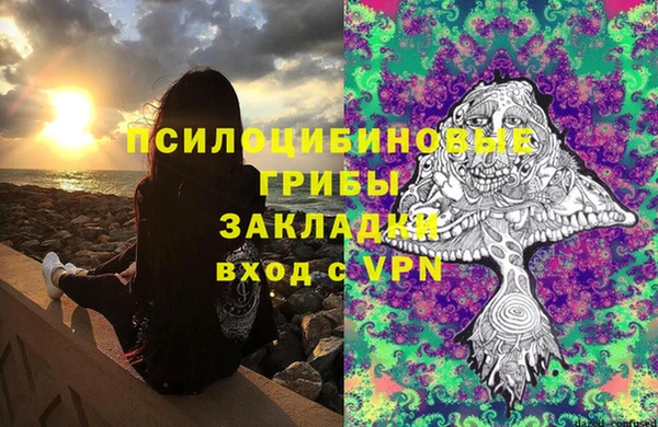 стаф Алзамай