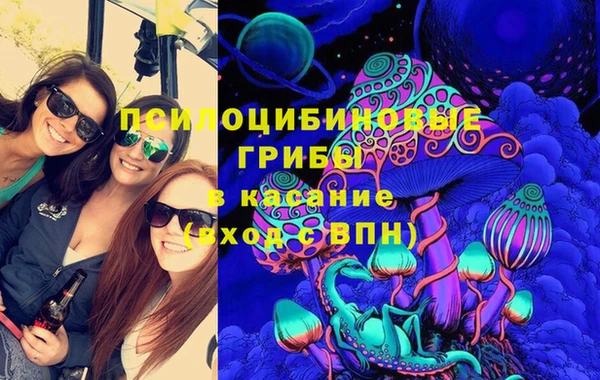 гидра Алексеевка