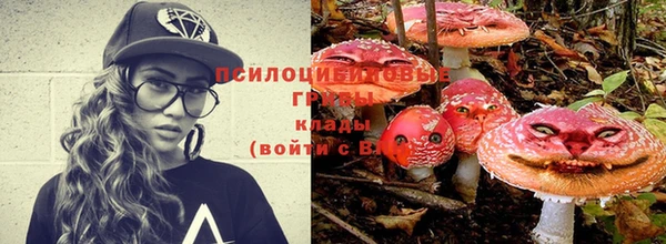 гидропоника Алексин