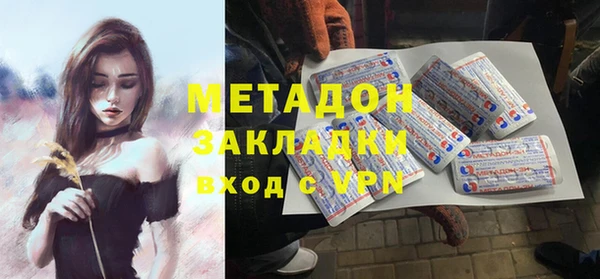 стаф Алзамай