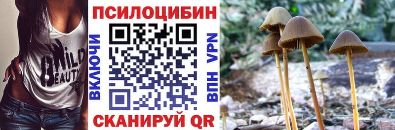 Псилоцибиновые грибы прущие грибы  Железногорск-Илимский 